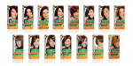 Garnier Hair Color 6.34