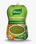 knorr green chutney 400gm