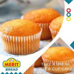 merit cup cake 2pcs